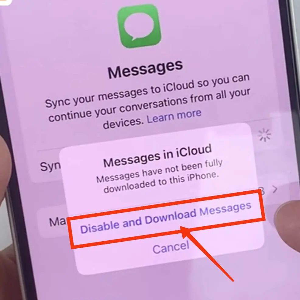 iCloud Step 7 disable and download message